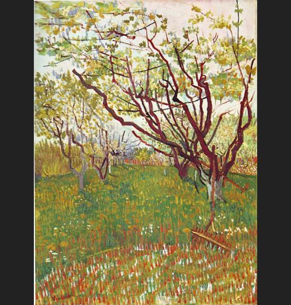 Vincent van Gogh Cherry Tree